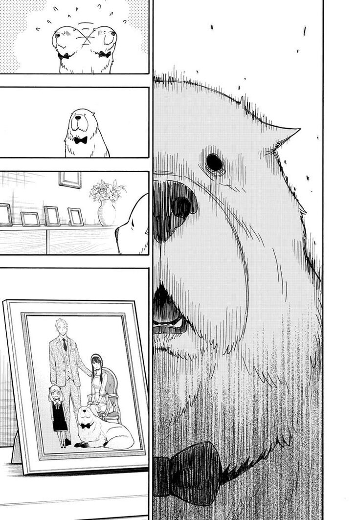 Spy x Family, Chapter 40 image 04